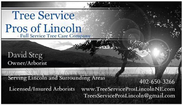 Tree Service - Lincoln, Nebraska