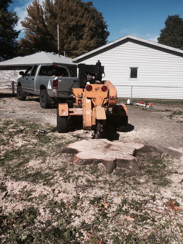 Stump Grinding Lincoln Nebraska