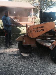 Stump Grinding Lincoln Nebraska