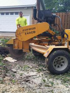 Stump Grinding Lincoln Nebraska