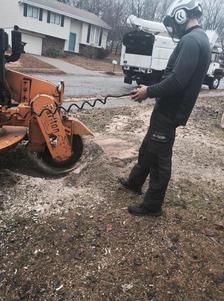 Stump Grinding Lincoln Nebraska